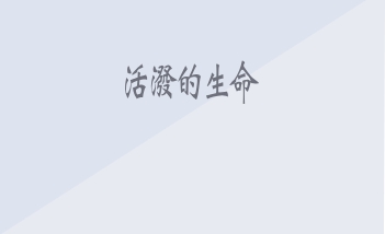 �����ǻ� �߱��� ���󺸱�